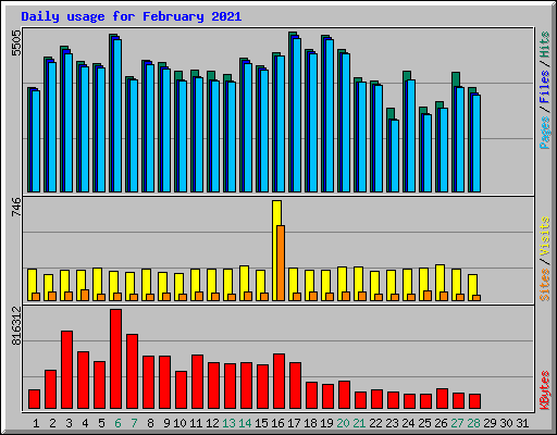 Daily usage for February 2021