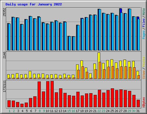 Daily usage for January 2022