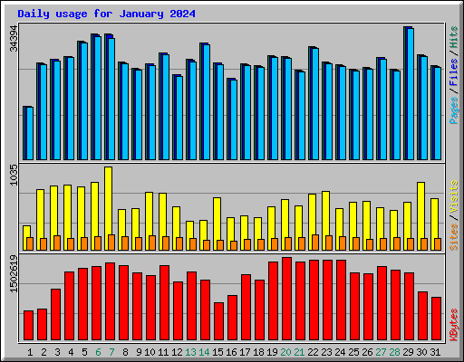 Daily usage for January 2024