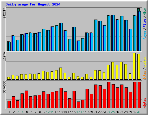 Daily usage for August 2024