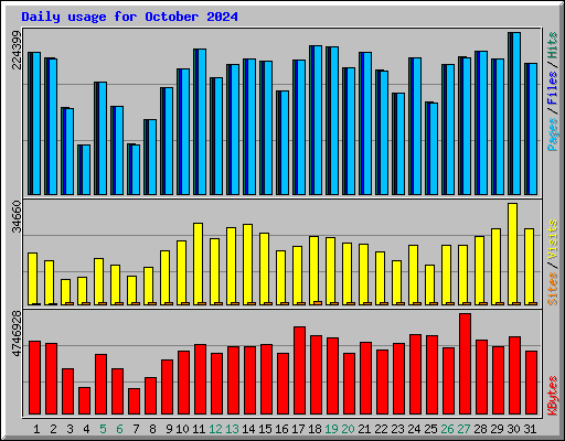 Daily usage for October 2024