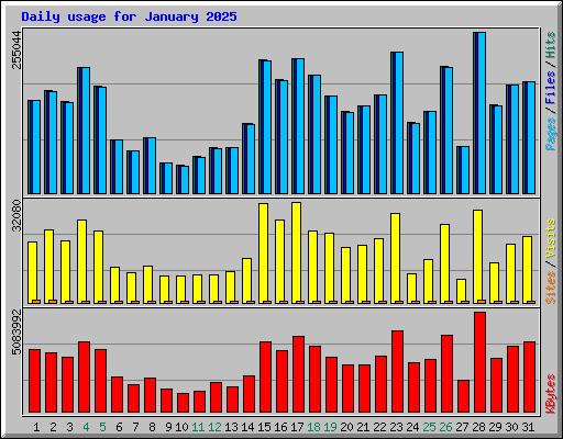 Daily usage for January 2025