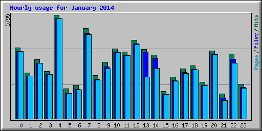 Hourly usage for January 2014