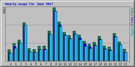 Hourly usage for June 2017