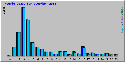 Hourly usage for December 2018