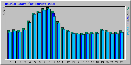 Hourly usage for August 2020