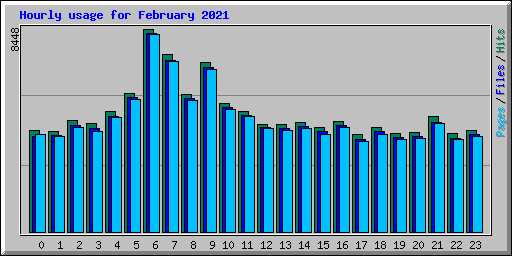 Hourly usage for February 2021