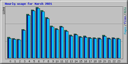 Hourly usage for March 2021