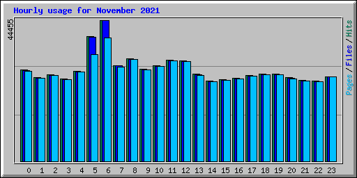 Hourly usage for November 2021