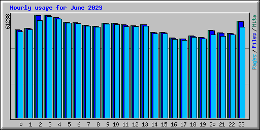 Hourly usage for June 2023