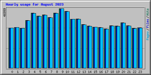 Hourly usage for August 2023