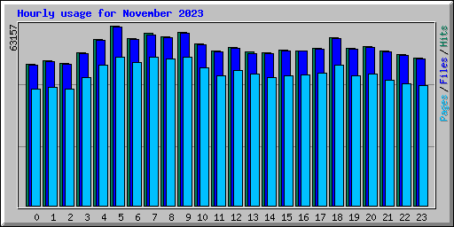 Hourly usage for November 2023