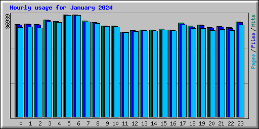 Hourly usage for January 2024