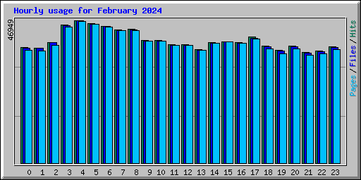 Hourly usage for February 2024