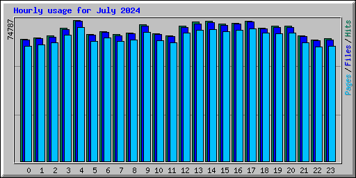 Hourly usage for July 2024