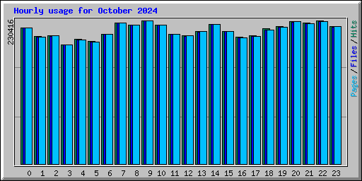 Hourly usage for October 2024