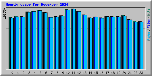 Hourly usage for November 2024