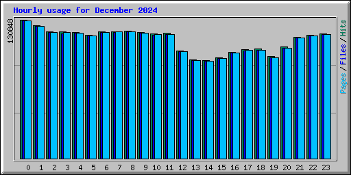 Hourly usage for December 2024