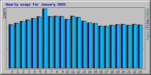 Hourly usage for January 2025