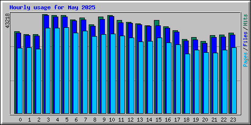 Hourly usage for May 2025