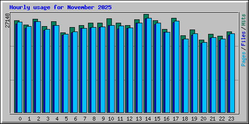 Hourly usage for November 2025
